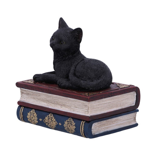 Salems Spells Witches Familiar Black Cat and Spellbook Box 11.7cm 2