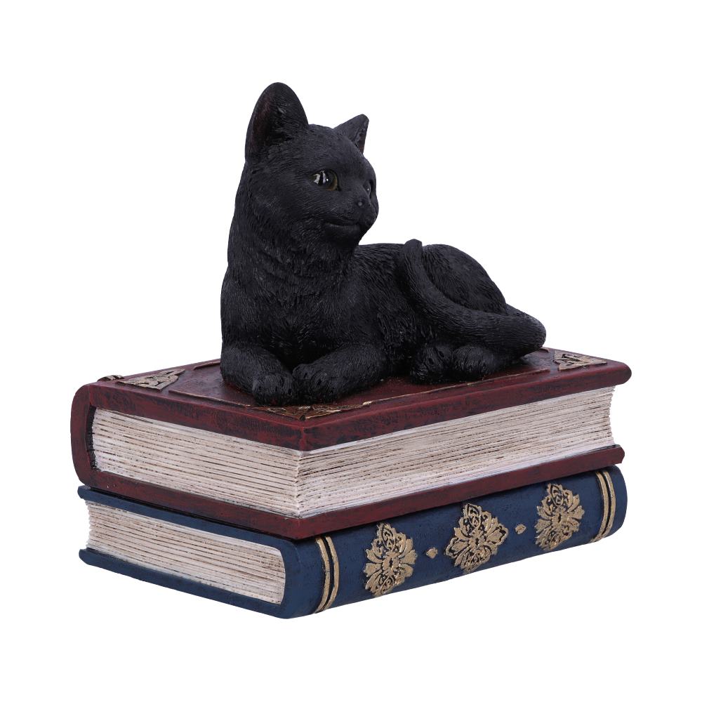 Salems Spells Witches Familiar Black Cat and Spellbook Box 11.7cm 3