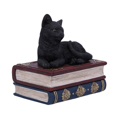 Salems Spells Witches Familiar Black Cat and Spellbook Box 11.7cm 3