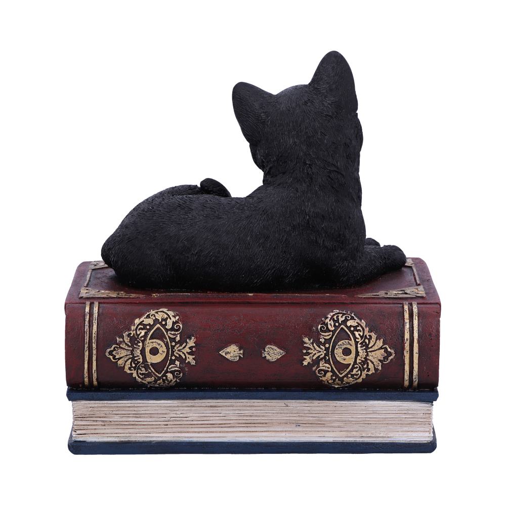 Salems Spells Witches Familiar Black Cat and Spellbook Box 11.7cm 4