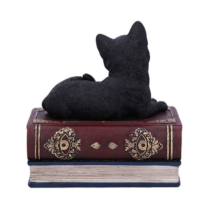 Salems Spells Witches Familiar Black Cat and Spellbook Box 11.7cm 4