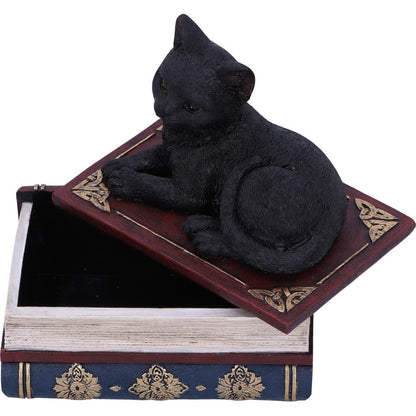 Salems Spells Witches Familiar Black Cat and Spellbook Box 11.7cm 5