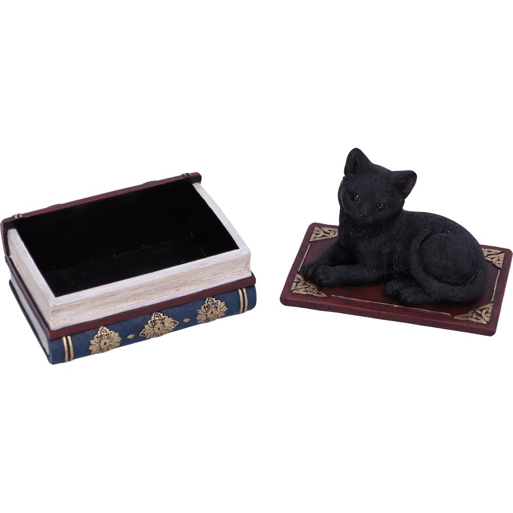 Salems Spells Witches Familiar Black Cat and Spellbook Box 11.7cm 6