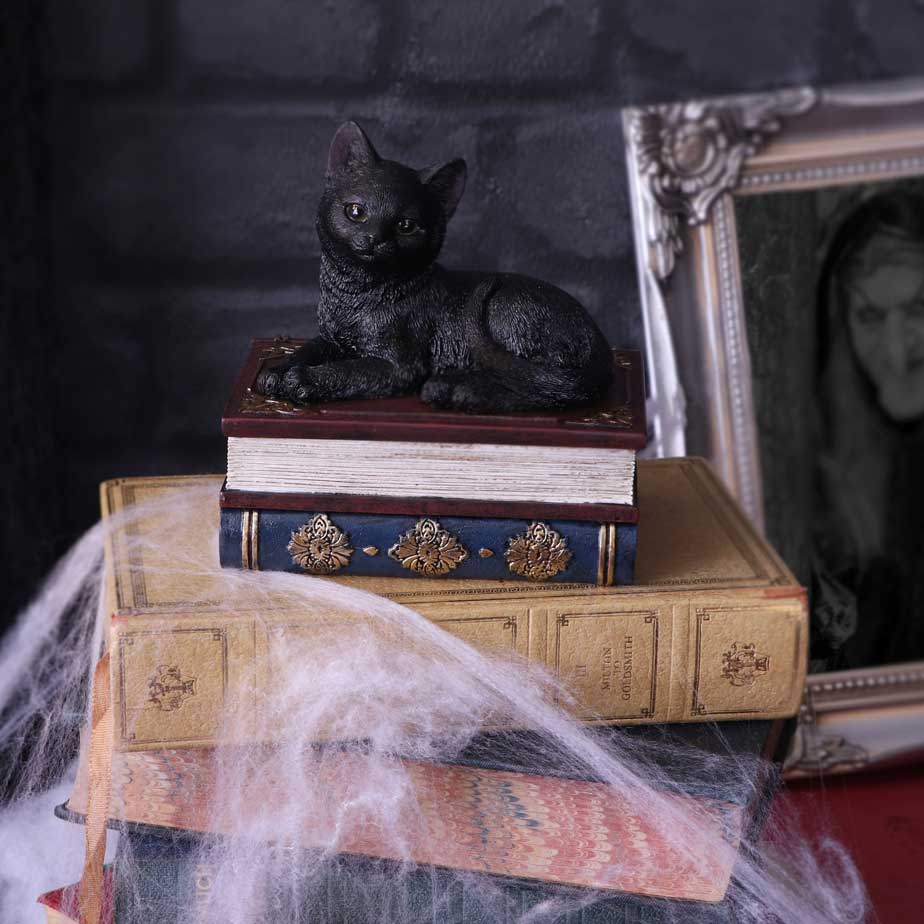 Salems Spells Witches Familiar Black Cat and Spellbook Box 11.7cm 7