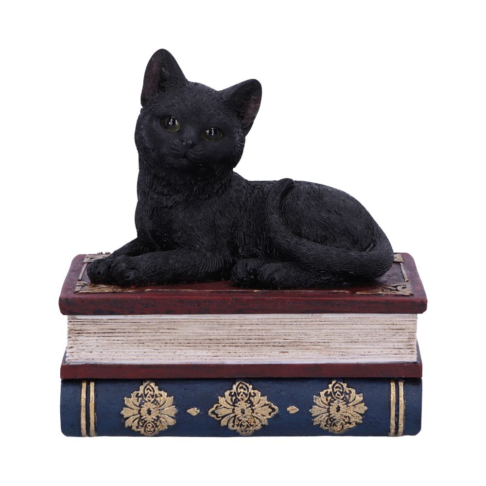 Salems Spells Witches Familiar Black Cat and Spellbook Box 11.7cm 1