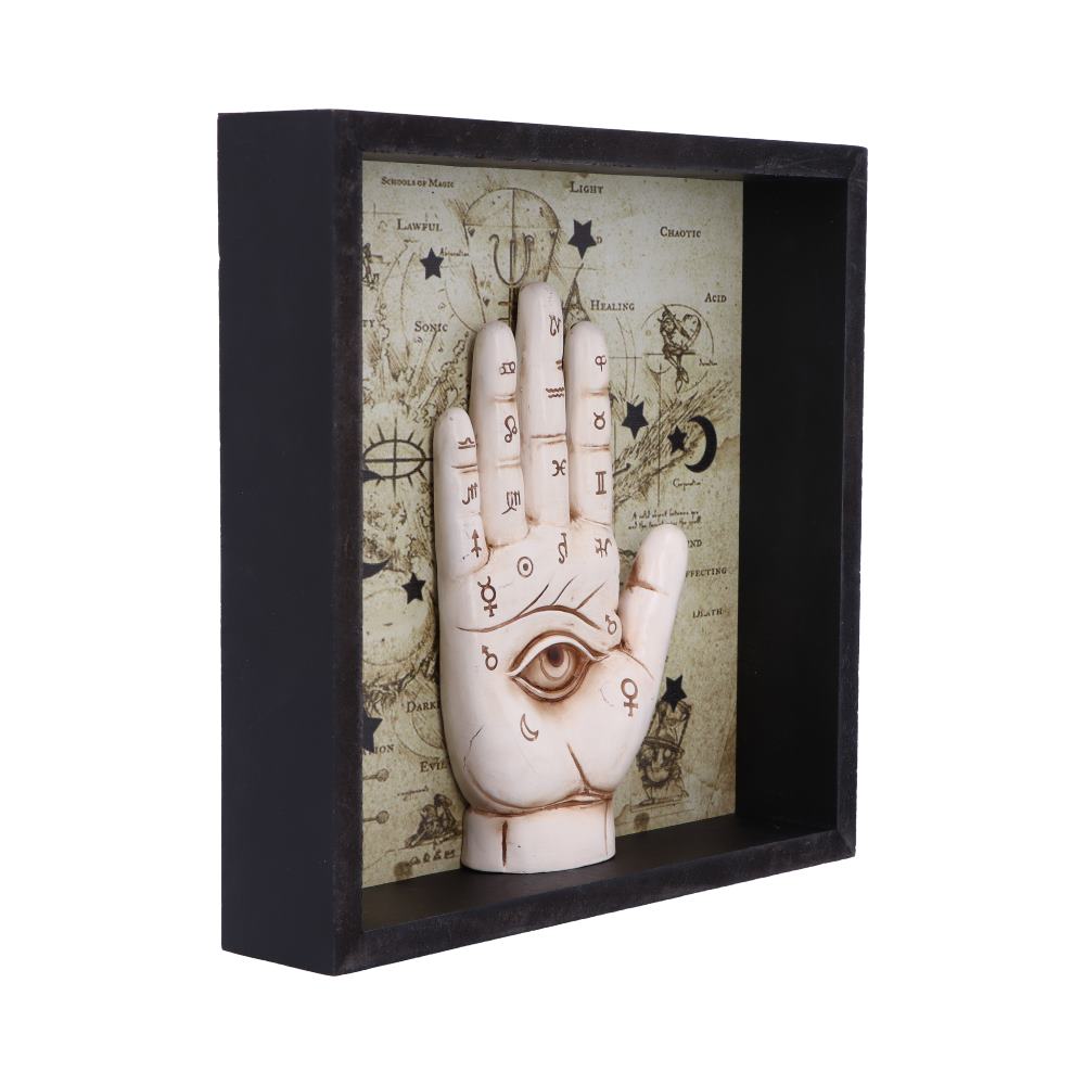 Palmistry Companion Framed Chiromancy Wall Mounted Art 20.2cm 3