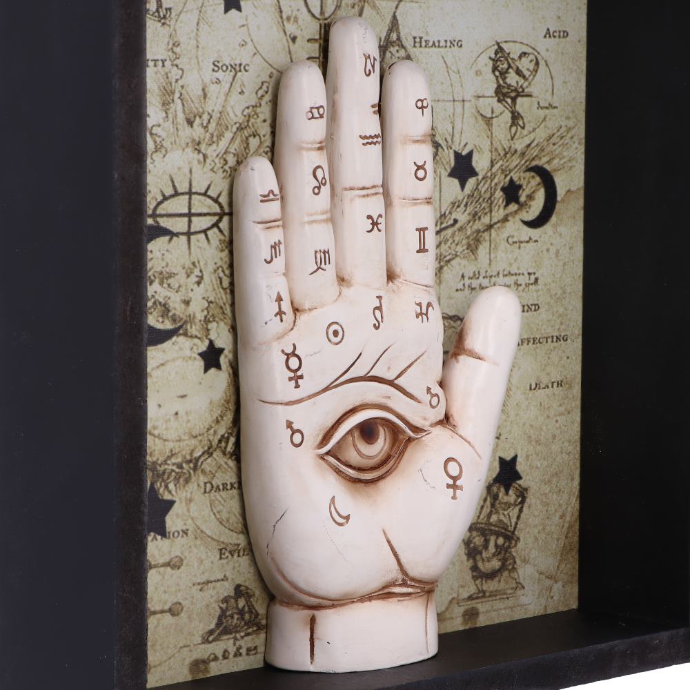 Palmistry Companion Framed Chiromancy Wall Mounted Art 20.2cm 5