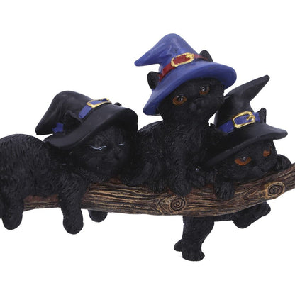 Purrfect Broomstick Witches Familiar Black Cats and Figurine 27.5cm 6