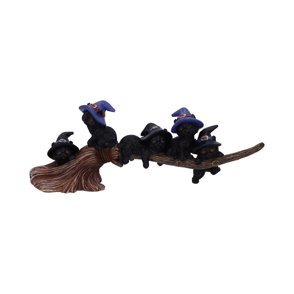 Purrfect Broomstick Witches Familiar Black Cats and Figurine 27.5cm 1