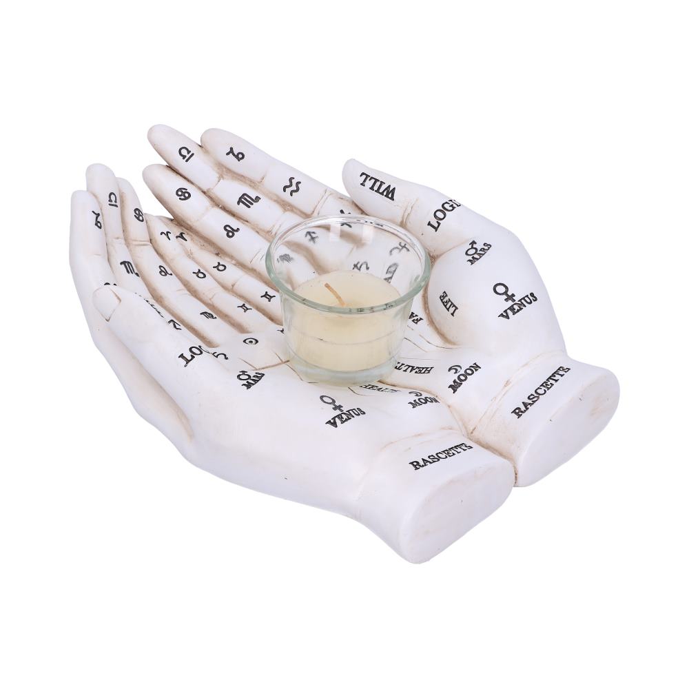 Palmists Guide White Chiromancy Hands Candle Holder 22.3cm 3