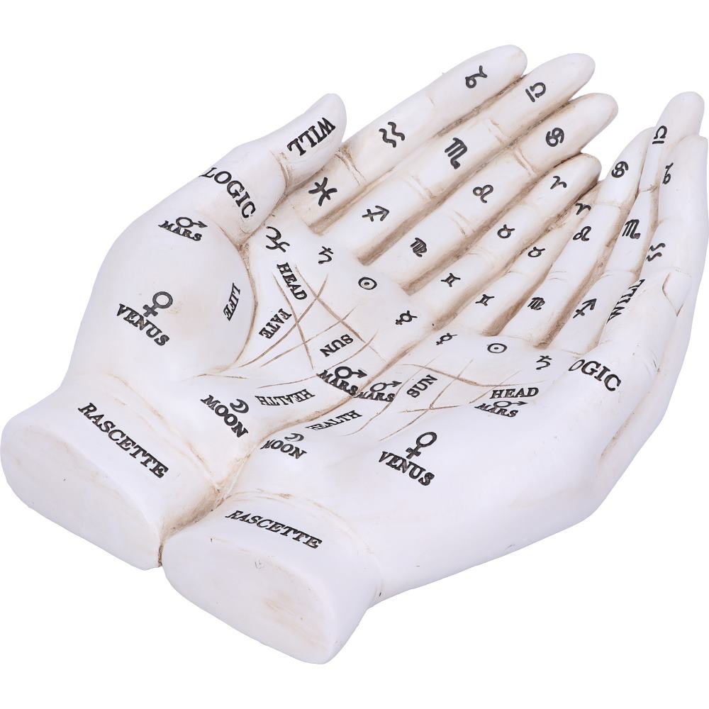 Palmists Guide White Chiromancy Hands Candle Holder 22.3cm 5
