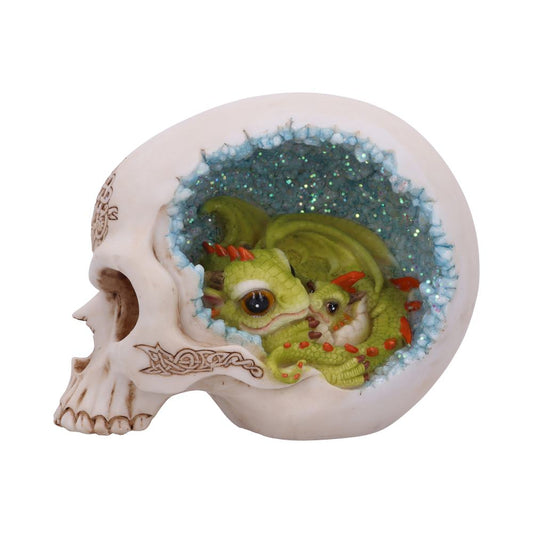 Celtic Cave Skull 15cm 1