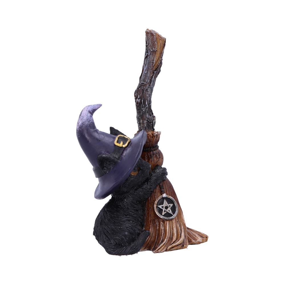 Familiars Broom 11.5cm Resin Figure 3