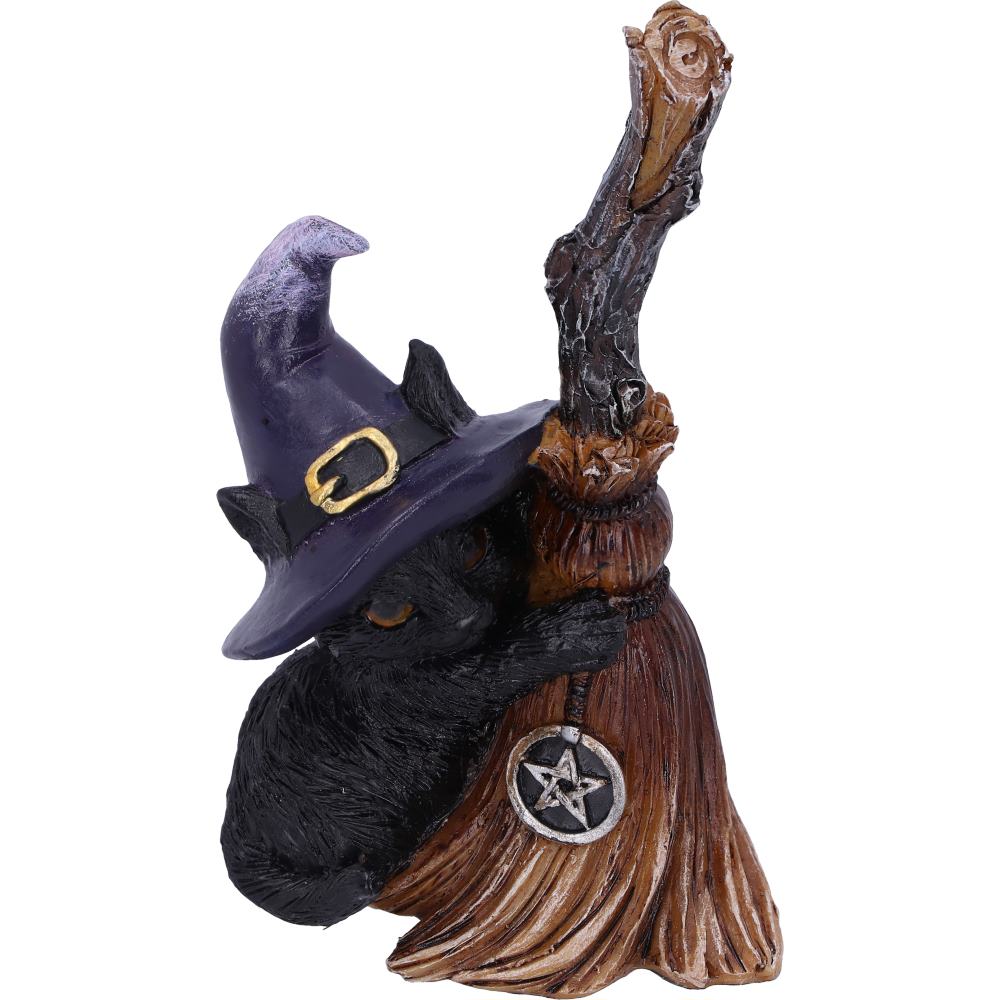 Familiars Broom 11.5cm Resin Figure 5