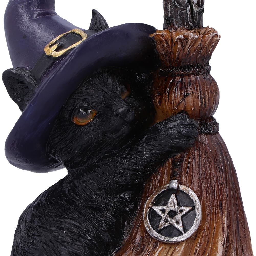 Familiars Broom 11.5cm Resin Figure 6