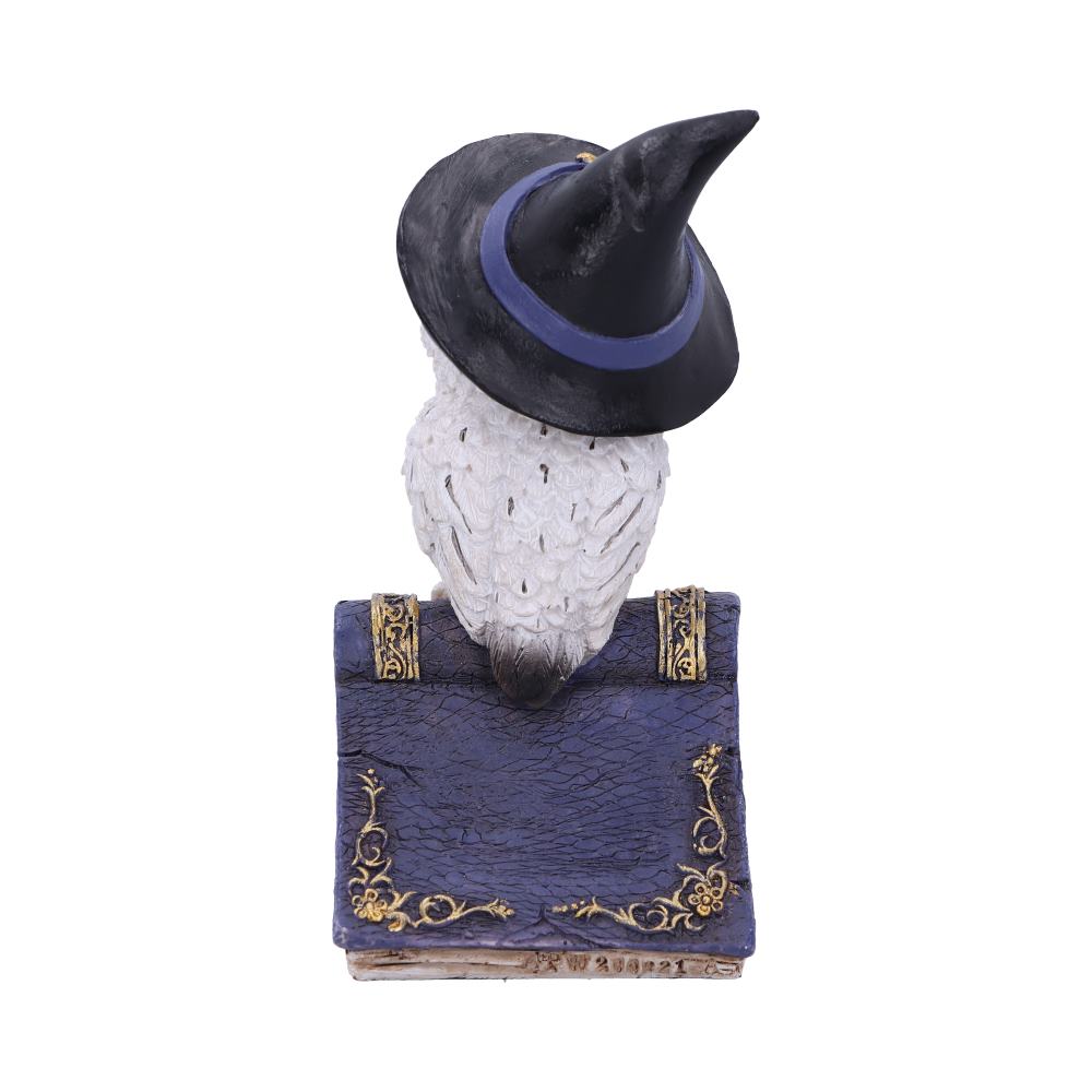 Avian Spell Blue Owl Witch Familiar Figure 12.5cm 3