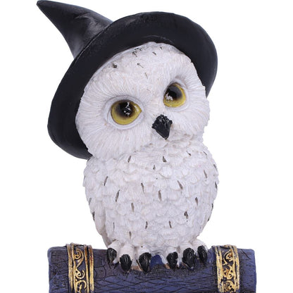 Avian Spell Blue Owl Witch Familiar Figure 12.5cm 5