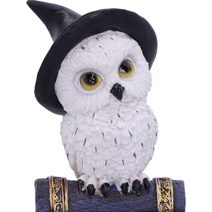 Avian Spell Blue Owl Witch Familiar Figure 12.5cm 5