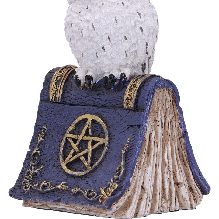 Avian Spell Blue Owl Witch Familiar Figure 12.5cm 6