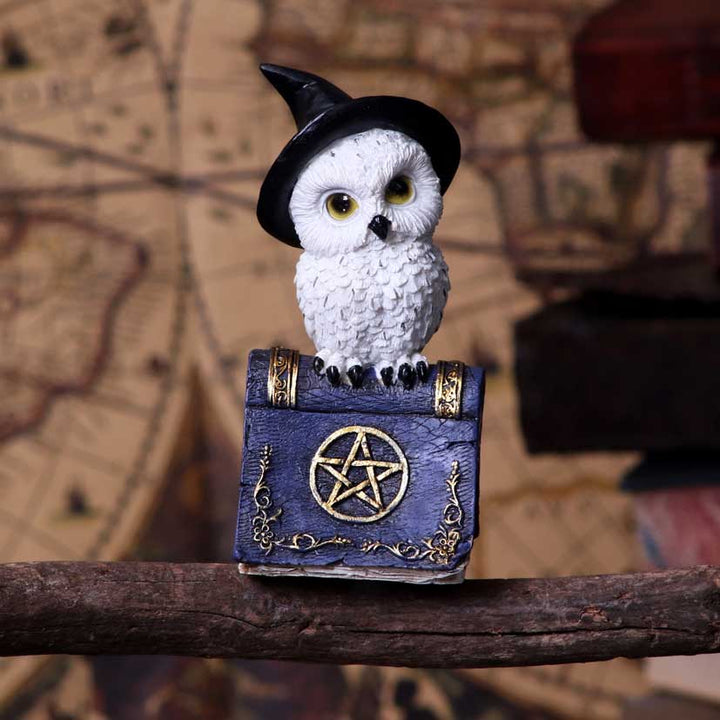 Avian Spell Blue Owl Witch Familiar Figure 12.5cm 7