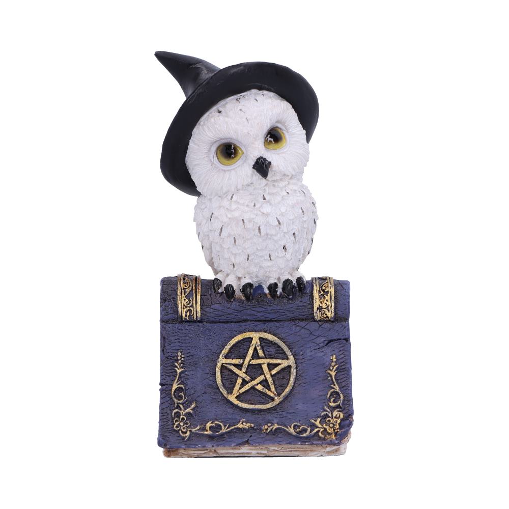 Avian Spell Blue Owl Witch Familiar Figure 12.5cm 1