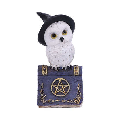 Avian Spell Blue Owl Witch Familiar Figure 12.5cm 1
