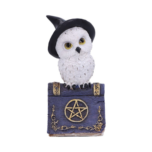 Avian Spell Blue Owl Witch Familiar Figure 12.5cm 1