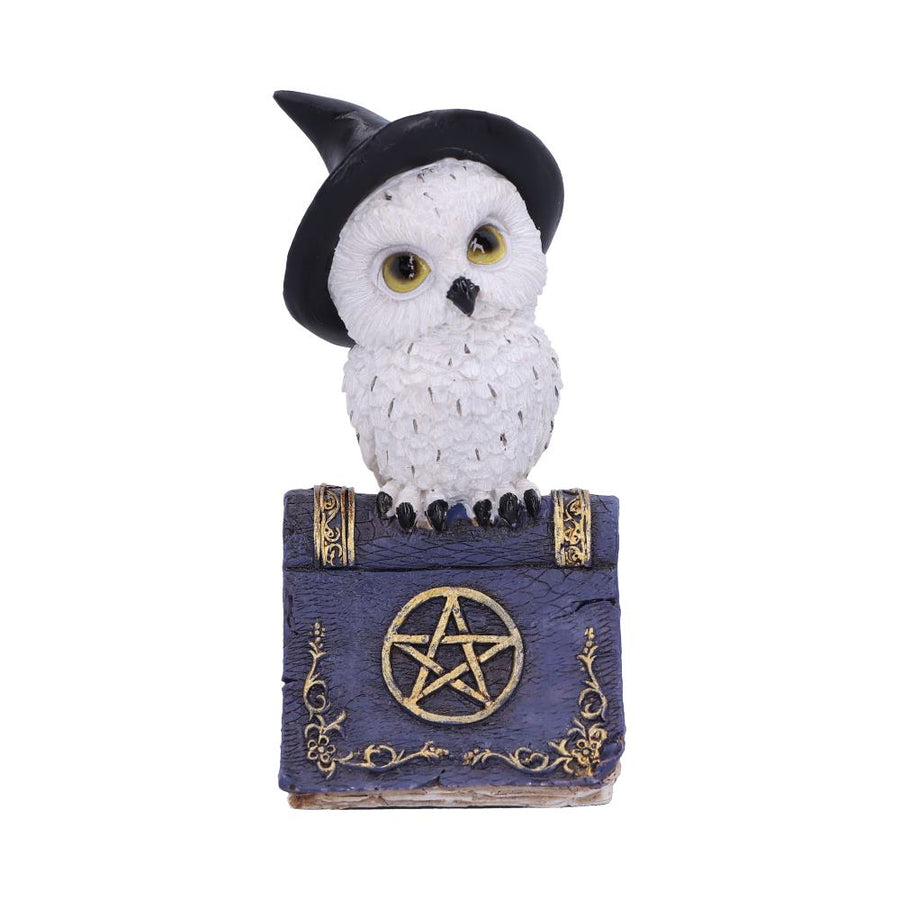 Avian Spell Blue Owl Witch Familiar Figure 12.5cm 1