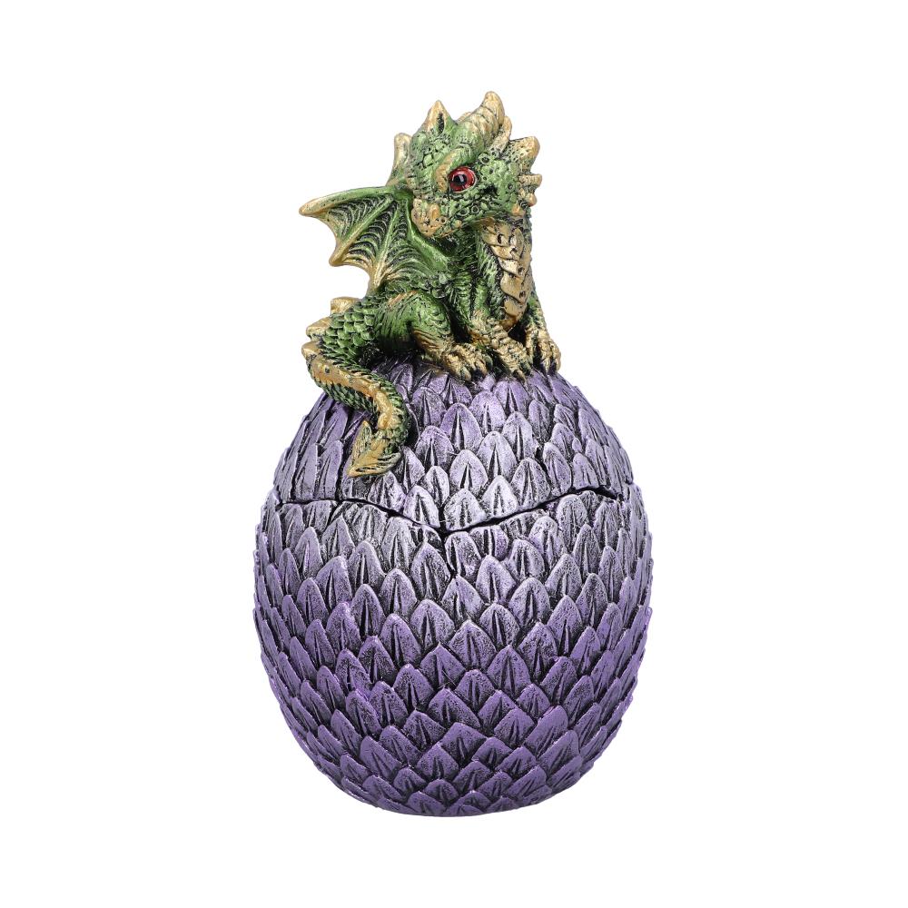 Dragonling Perch Box Metallic Green Dragon Box 14cm 1