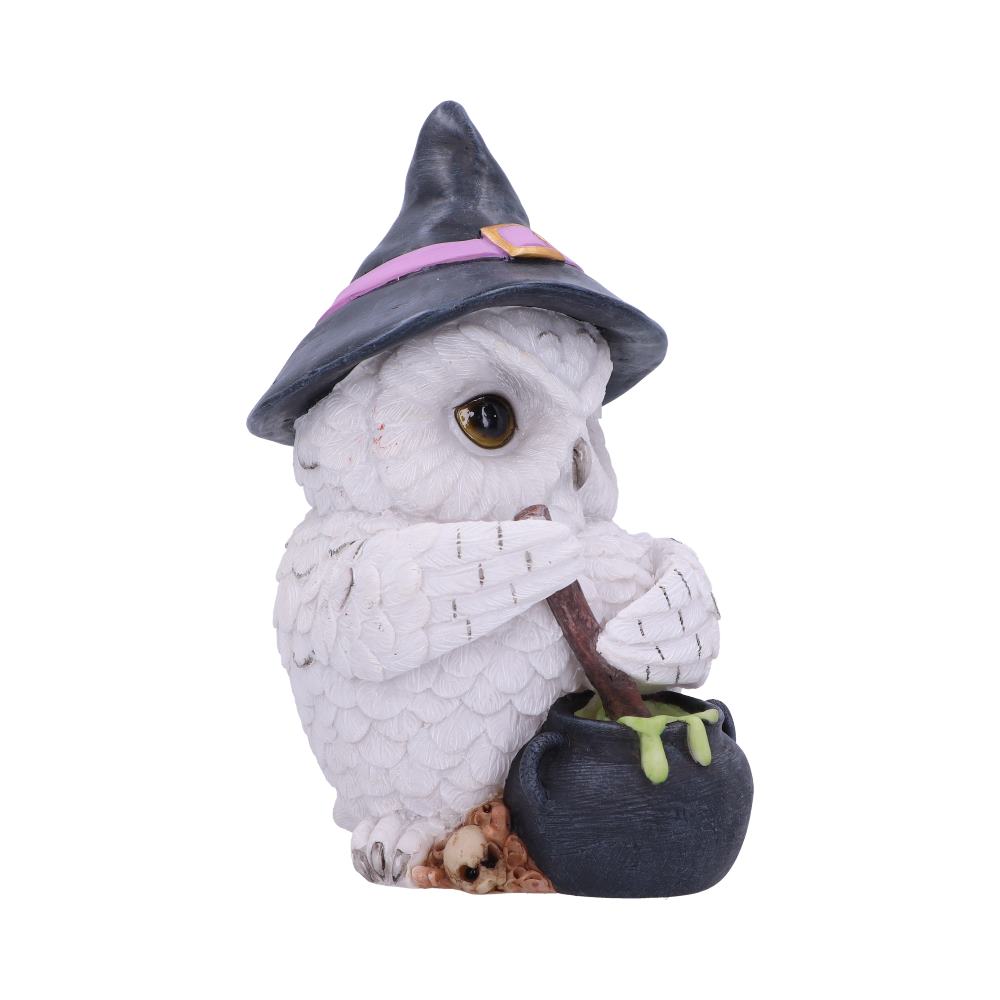 Owl Potion Figurine 17.5cm 4