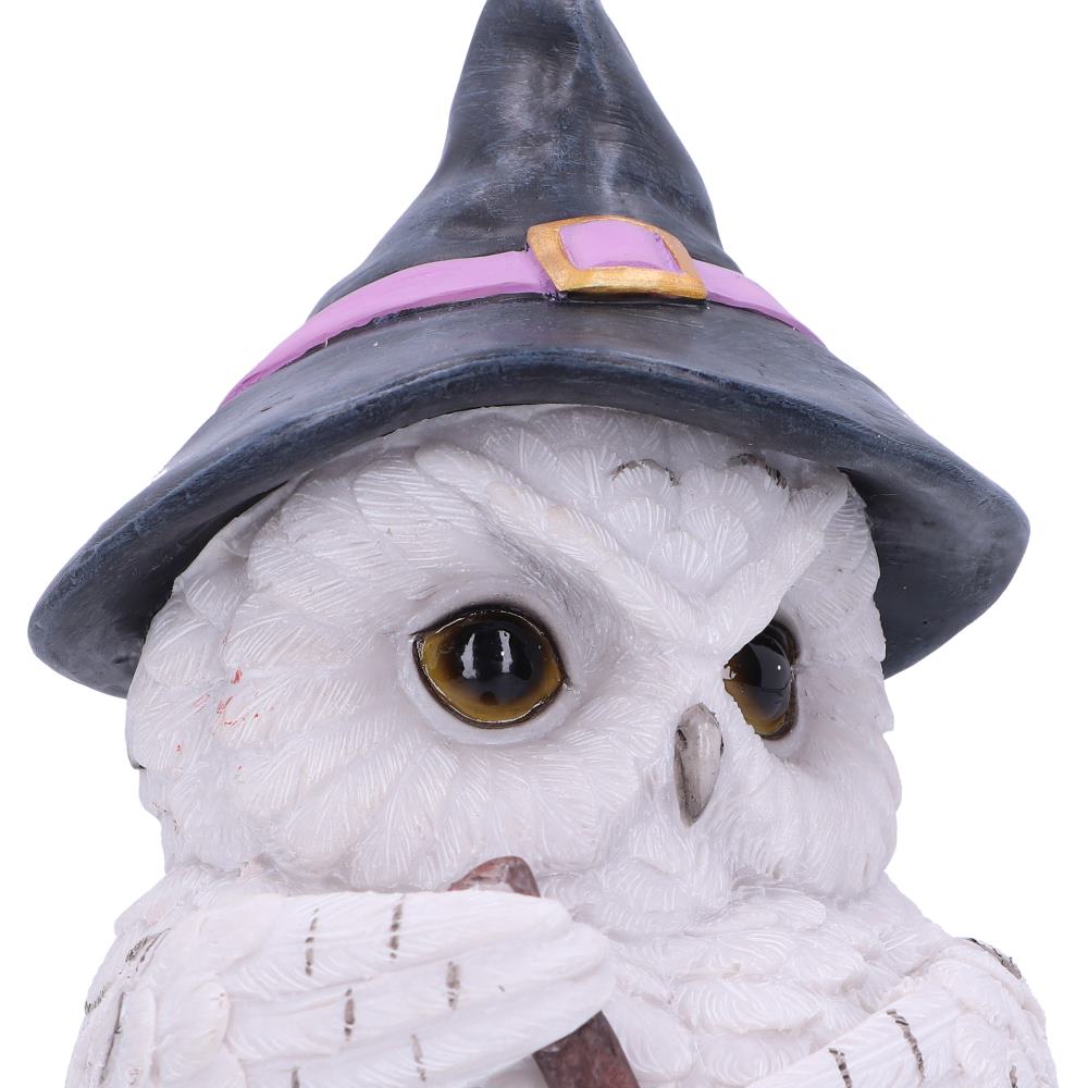 Owl Potion Figurine 17.5cm 6