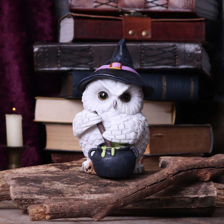 Owl Potion Figurine 17.5cm 7
