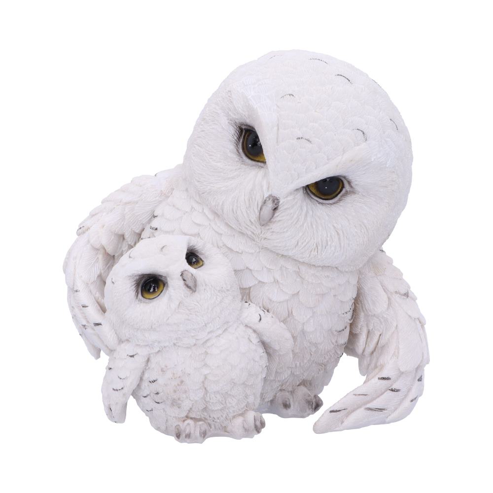 Feathered Guide Owl Figurine 13.5cm 1