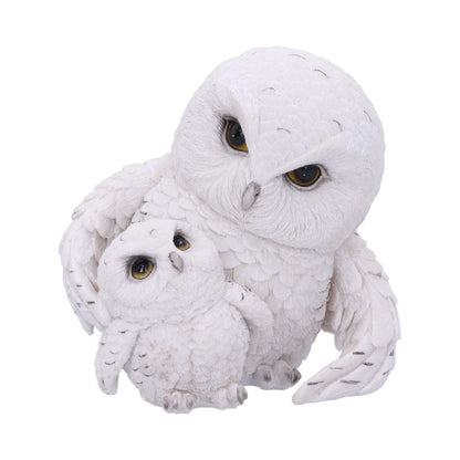 Feathered Guide Owl Figurine 13.5cm 1