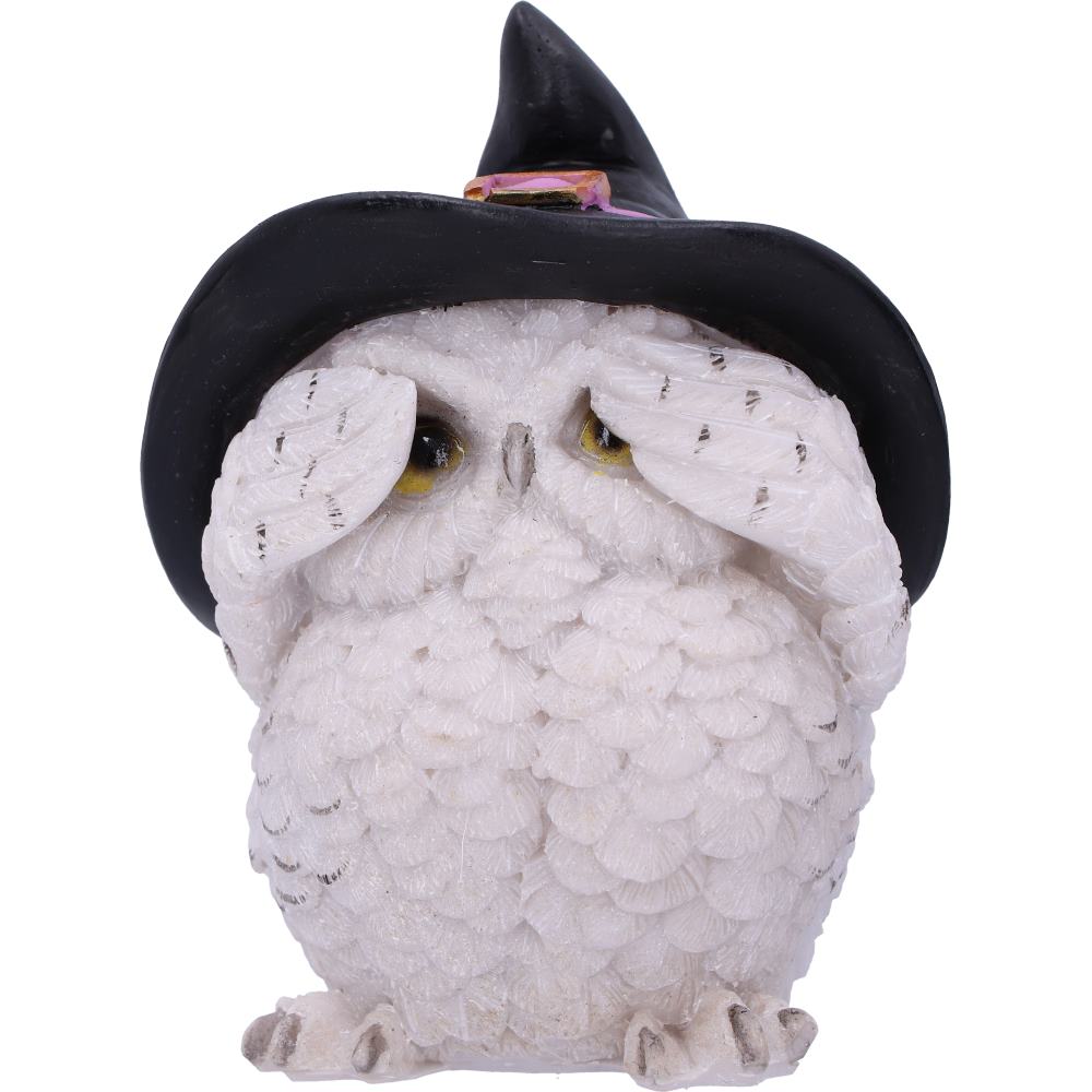 Three Wise Feathered Familiars Owl Figures 9cm 5