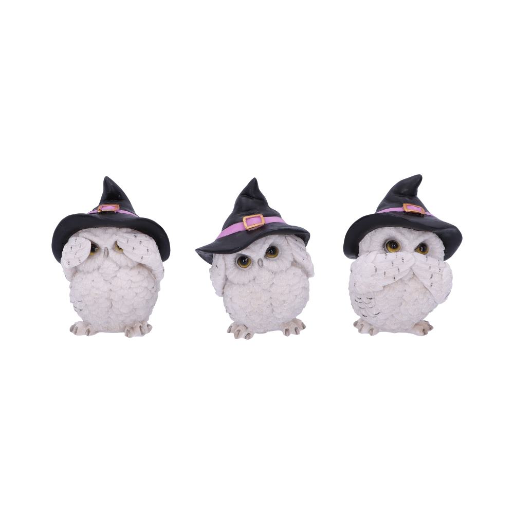 Three Wise Feathered Familiars Owl Figures 9cm 1