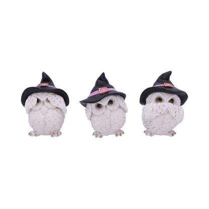 Three Wise Feathered Familiars Owl Figures 9cm 1