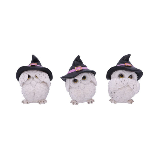 Three Wise Feathered Familiars Owl Figures 9cm 1
