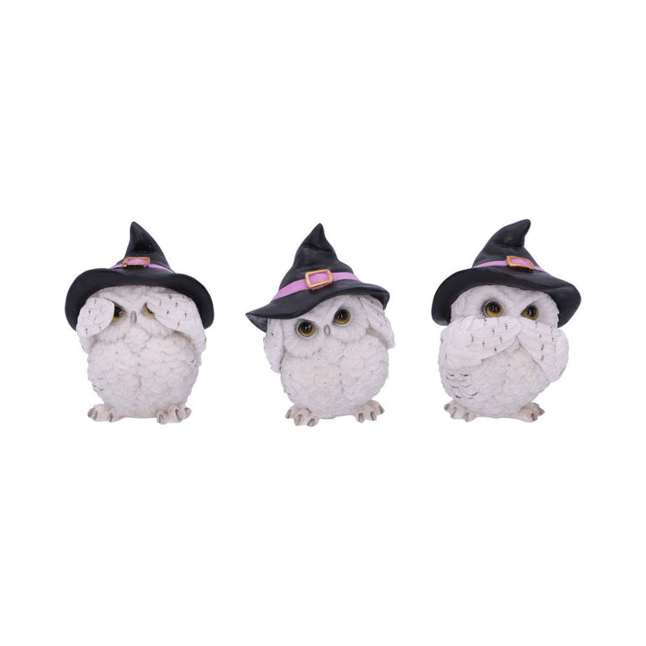 Three Wise Feathered Familiars Owl Figures 9cm 1