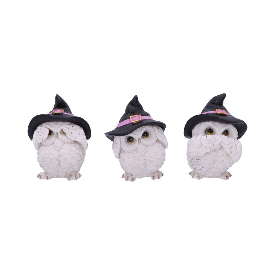 Three Wise Feathered Familiars Owl Figures 9cm 1