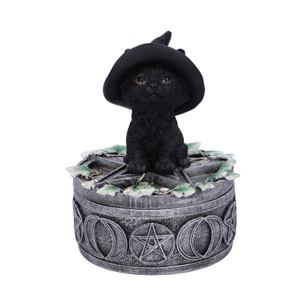 Ivy Familiar Box 15cm 1