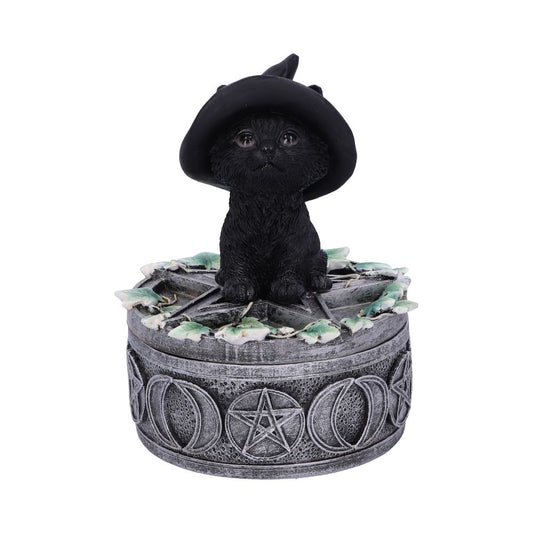 Ivy Familiar Box 15cm 1