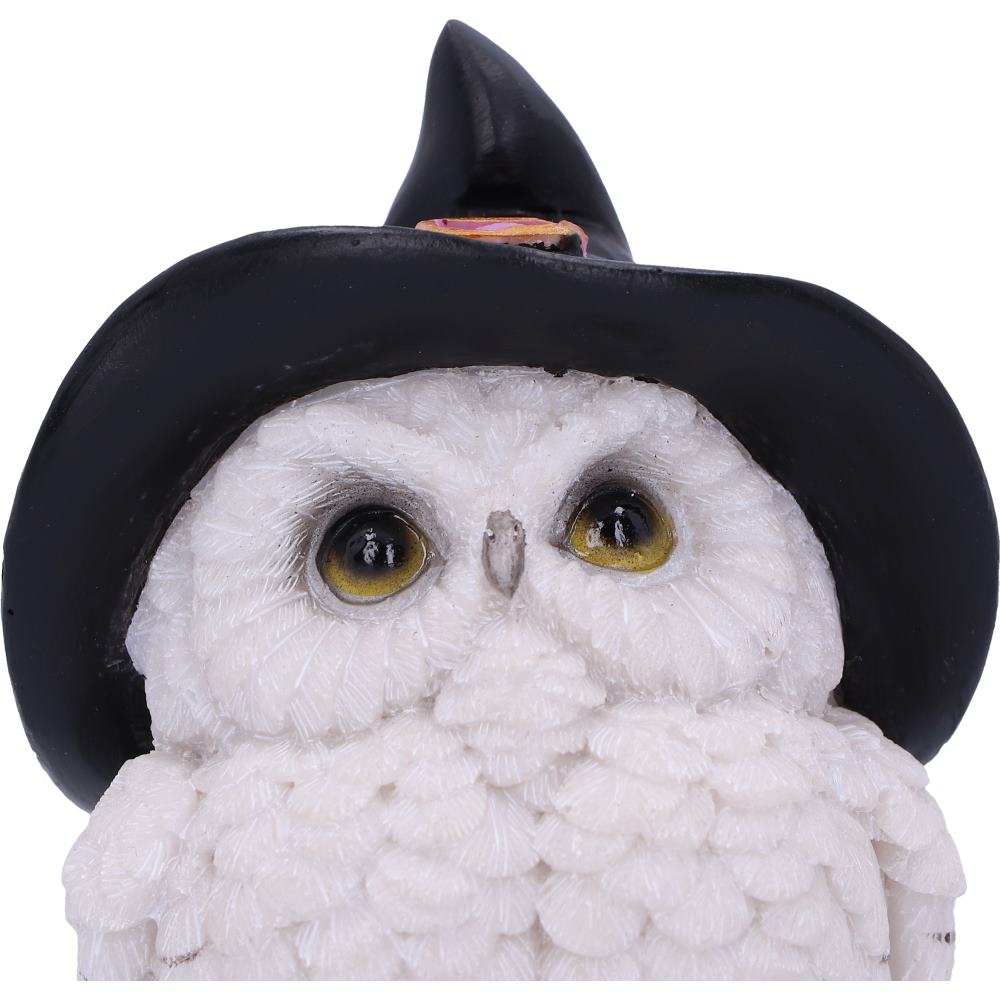Snowy Spells Owl Figurine 9cm 5