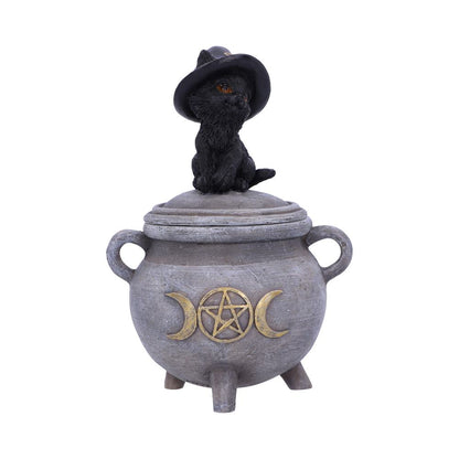 Witch Cat Cauldron Box 14cm Kittys Brew 1