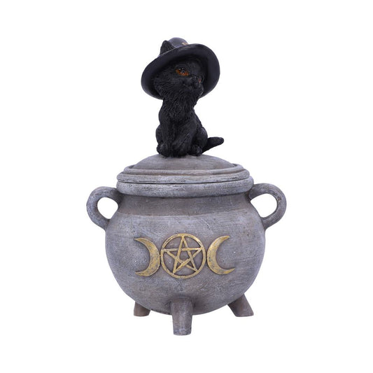 Witch Cat Cauldron Box 14cm Kittys Brew 1