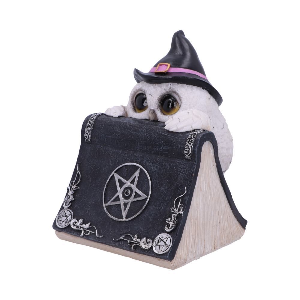 Owl with book Figurine 15cm Owls Spell 1