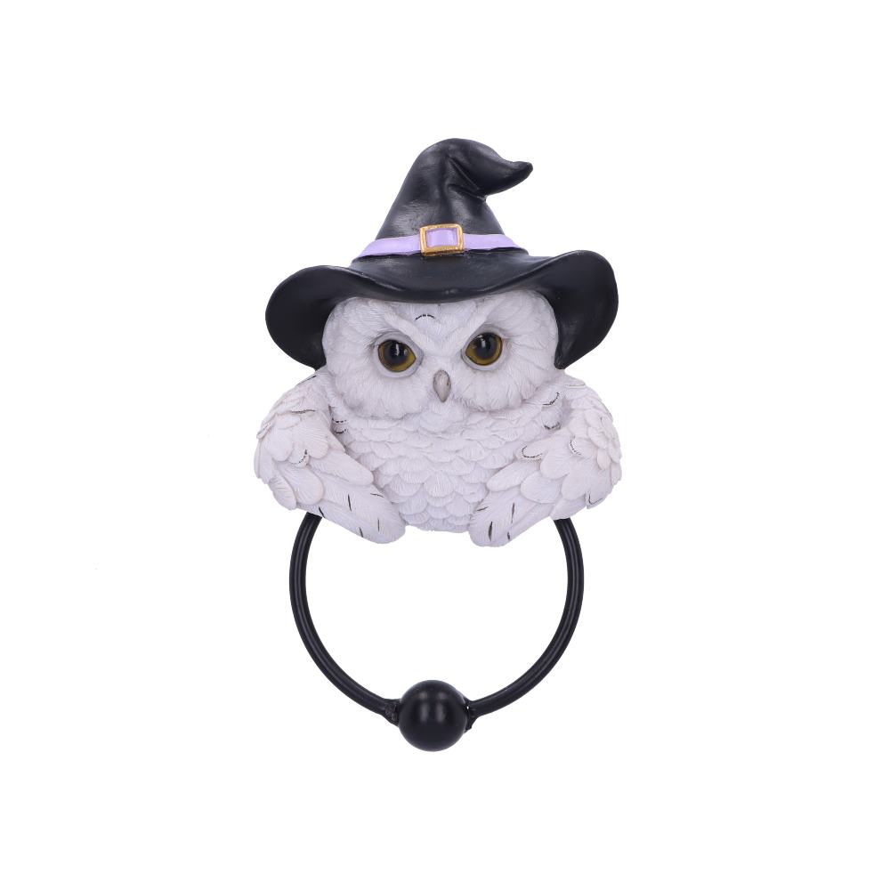 Snowy Owl Magic Door Knocker 21cm 1