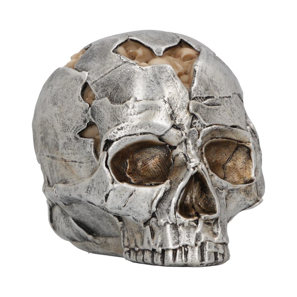 Small Alternative Fracture Skull 11cm 1