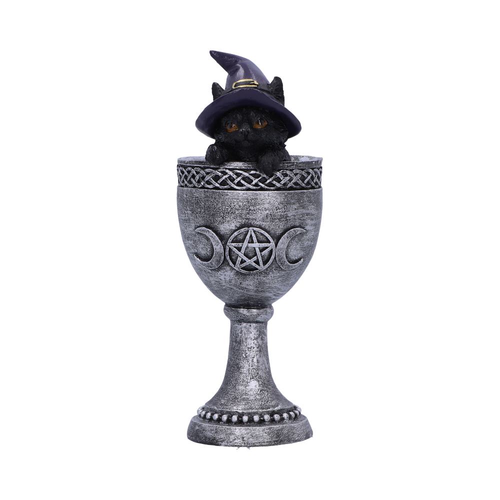Coven Cup Black Cat Ornament 15.7cm 1
