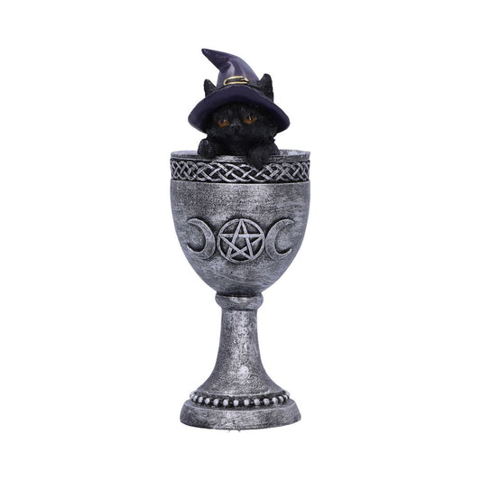 Coven Cup Black Cat Ornament 15.7cm 1